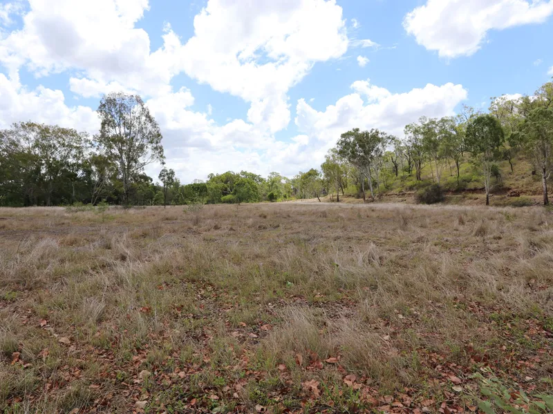 Fifty Four Affordable Acres!
