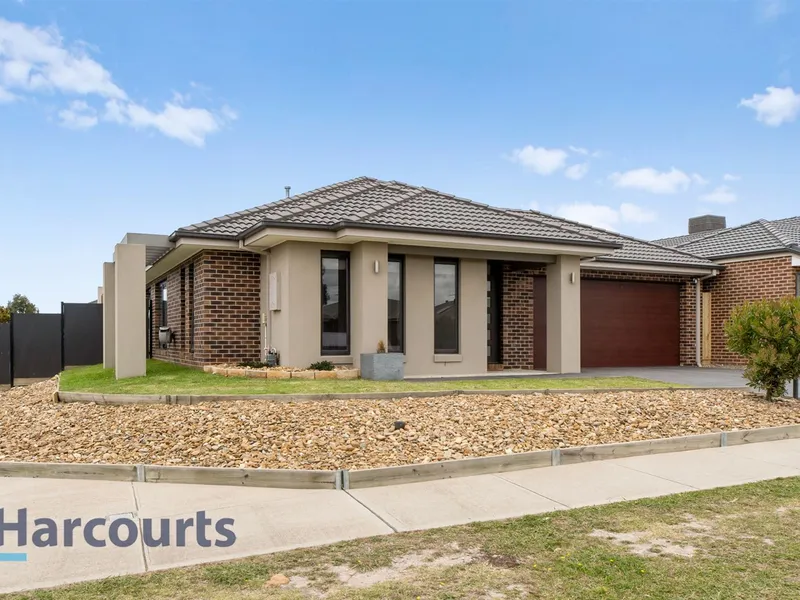 Entertain or Unwind within this Generous Family Home