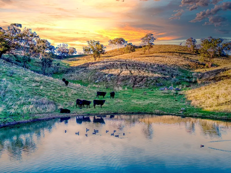 Rylstone Blue Ribbon Lifestyle & Grazing Property