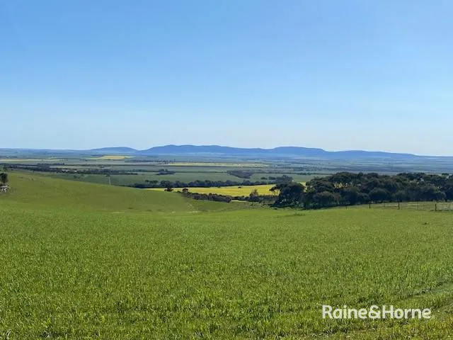 Hill View