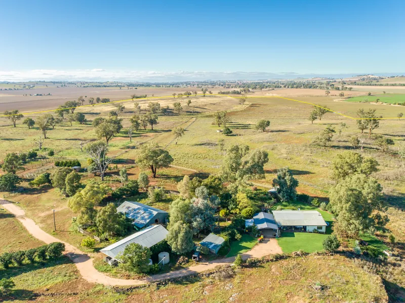 Productive Grazing Country 35mins drive from Orange