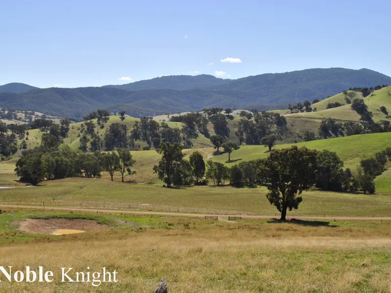 10 Acres at the end of the lane