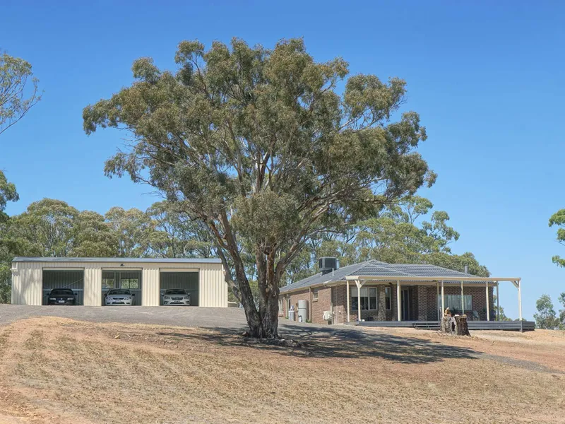 Work from home! 2 Hours to Melbourne a fabulous farm (suitable for horses) approx 100 acres with 3 bed 2 bath 2 living near new homestead! 