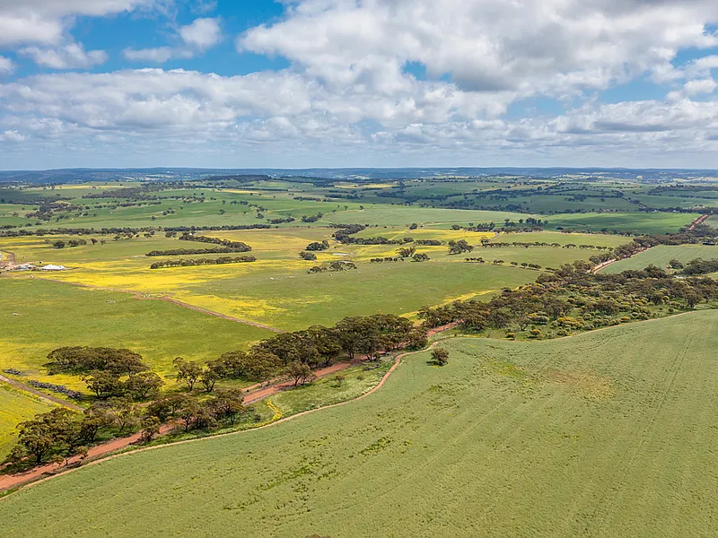43 Acres Perfect Balanced Farmlet
