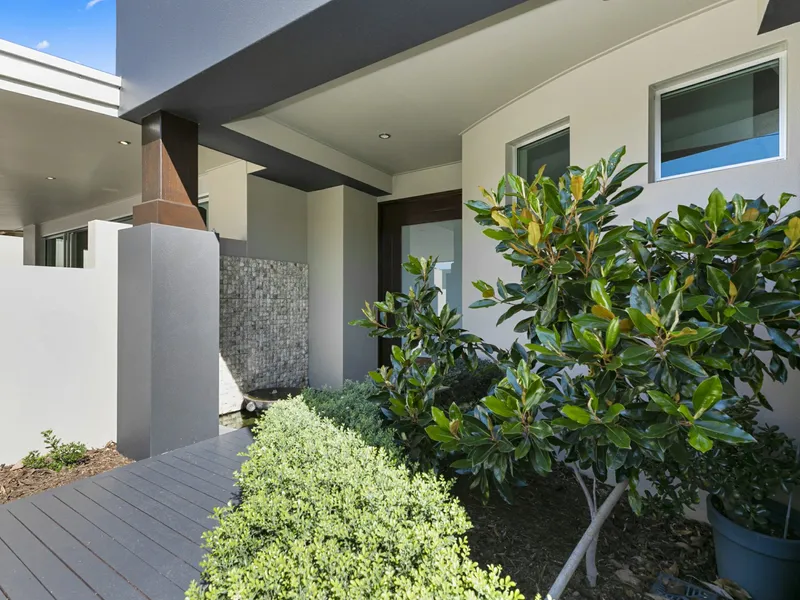 Zinc Properties Noosa
