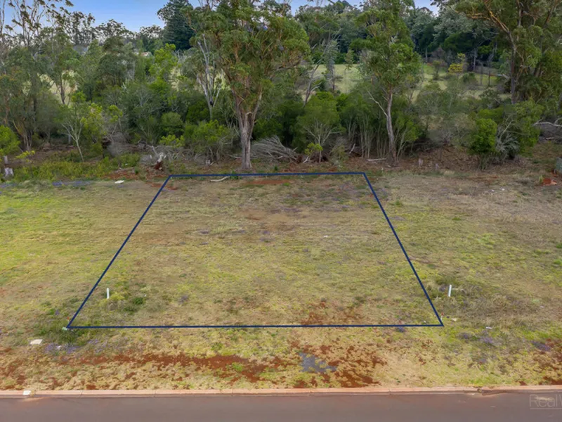 ULTRA RARE MIDDLE RIDGE LAND