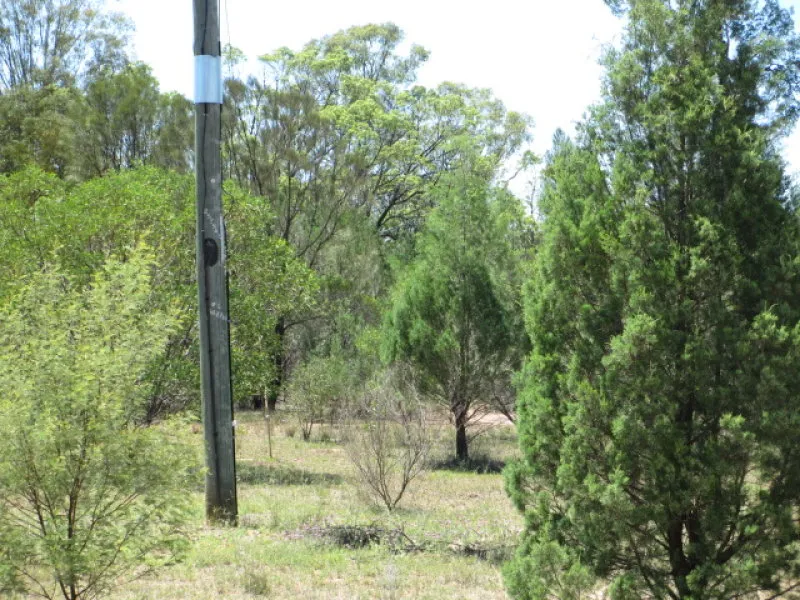 5 MINUTES FROM TARA WITH ELECTRICITY & PHONE SERVICES AVAILABLE