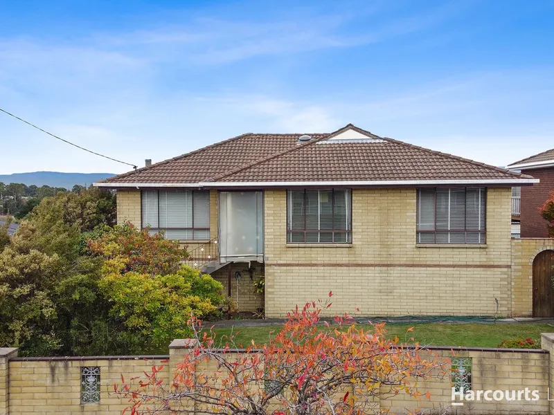Freshly Renovated Family Home