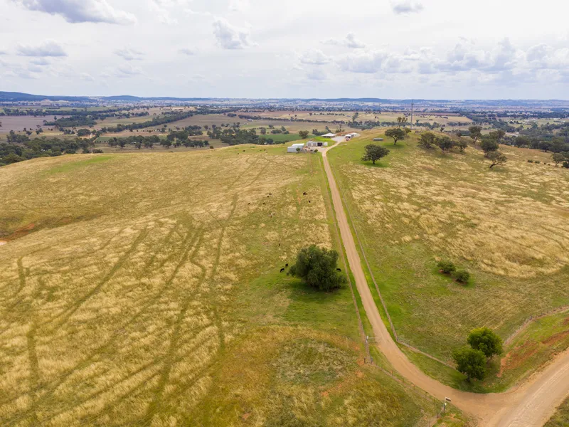 Rural Lifestyle Property, Excellent Location