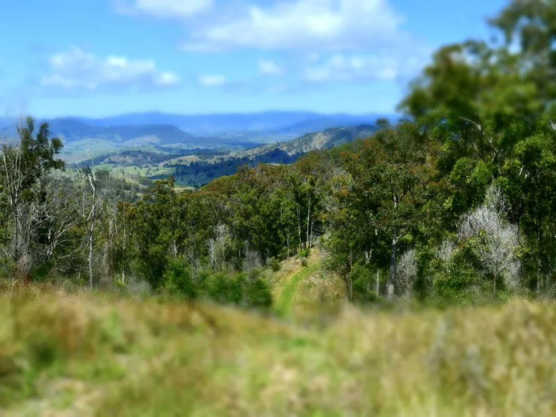 1,000 Acre Bush Block for off Grid Escape