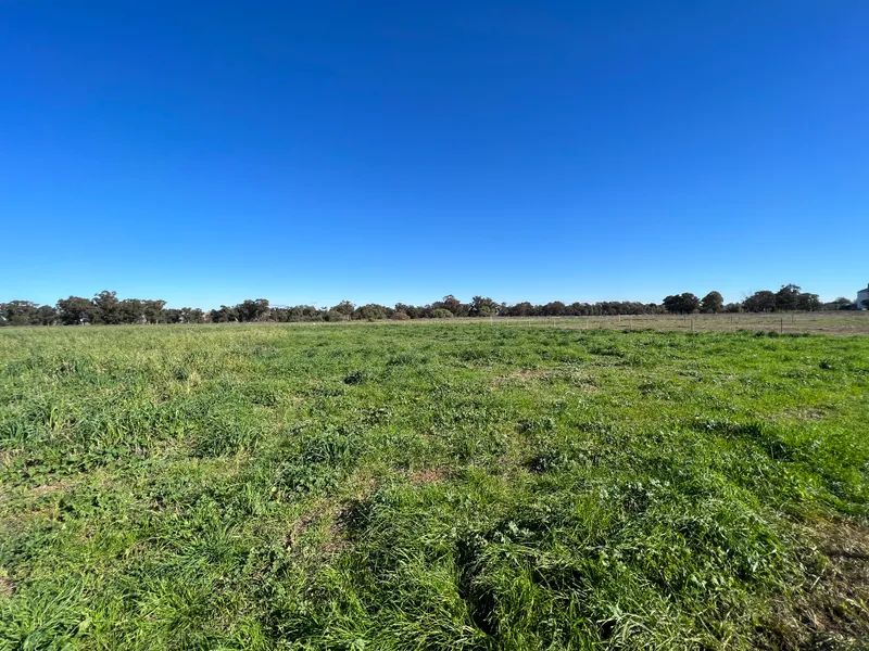 C21 Central West - 6268 1265