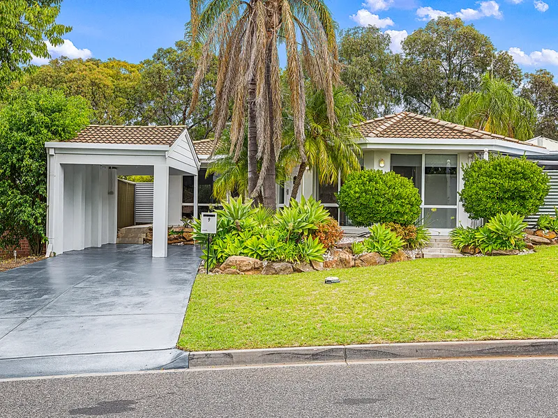 Custom Designed Entertainer in Lush Leafy Locale