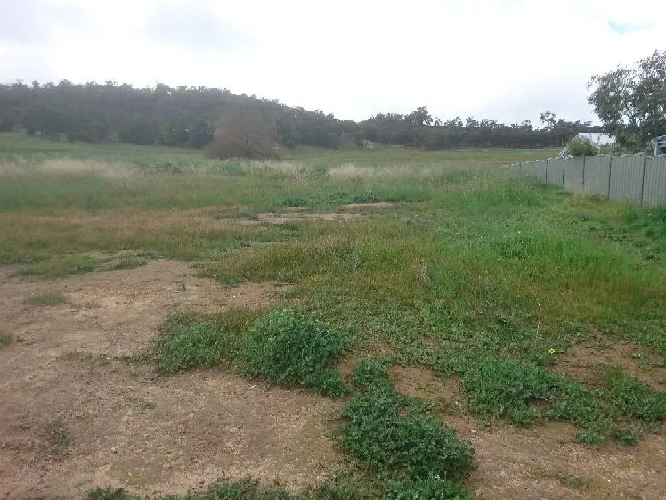 COUNTRY LAND - MADE FOR LIVING!