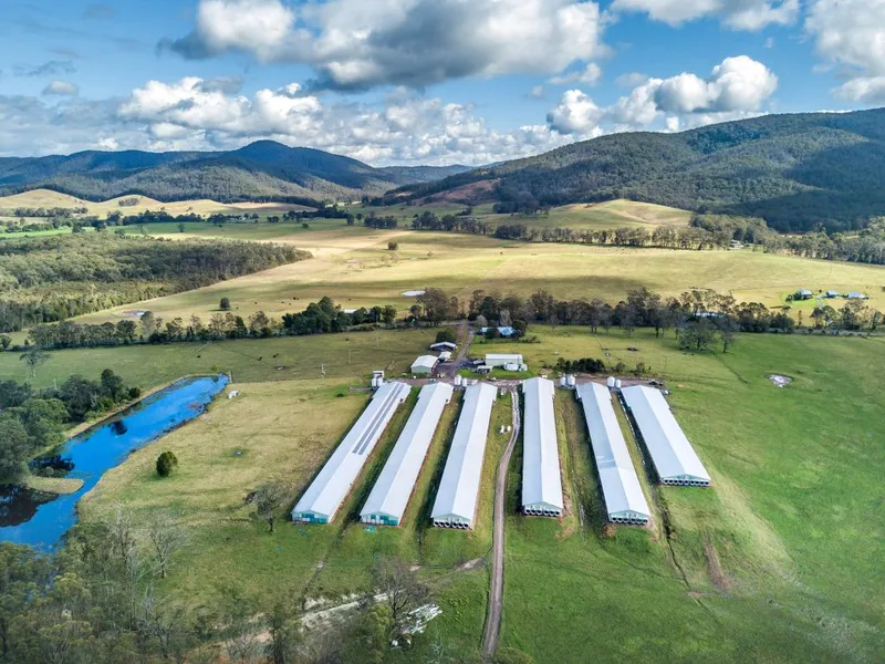163 Acres Commercial Chicken Broiler Cattle Stud Grazing Property, Sought After Temperate Mid North Coast Location.