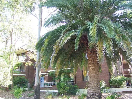 Quiet two bedroom unit located just up the road from Artarmon Train Station.