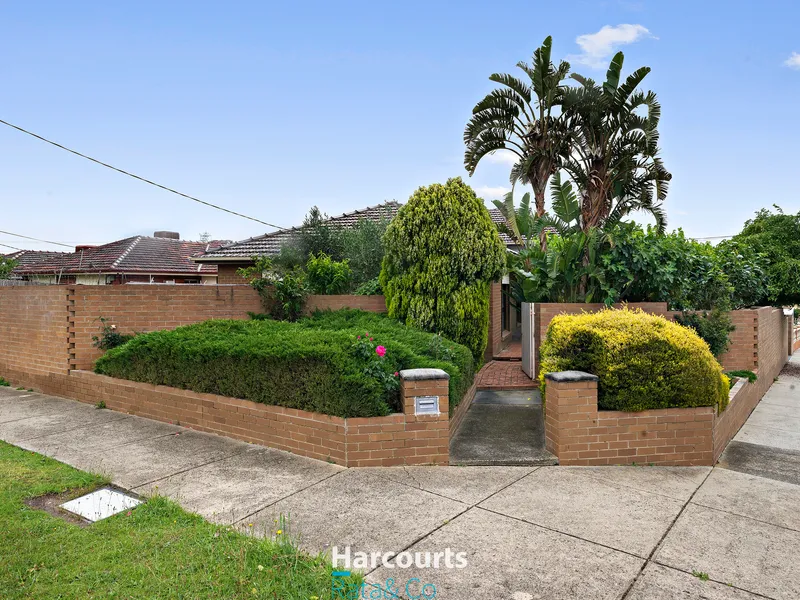 Corner Block With Massive Potential