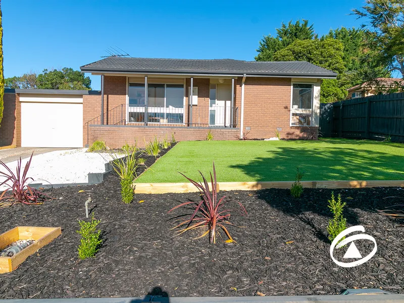 MORE THAN MEETS THE EYE!