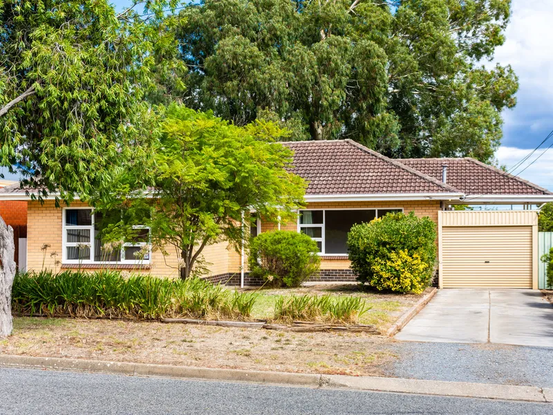 The Opportunities are Endless!