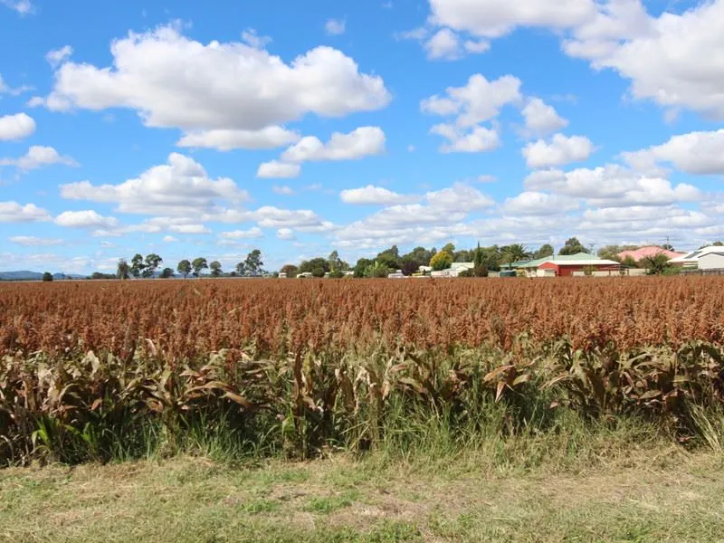 Rural Land with Future Residential Development Opportunity