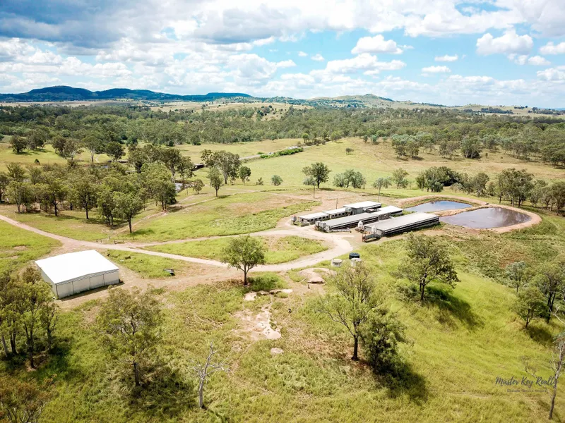 Income producing farm! 