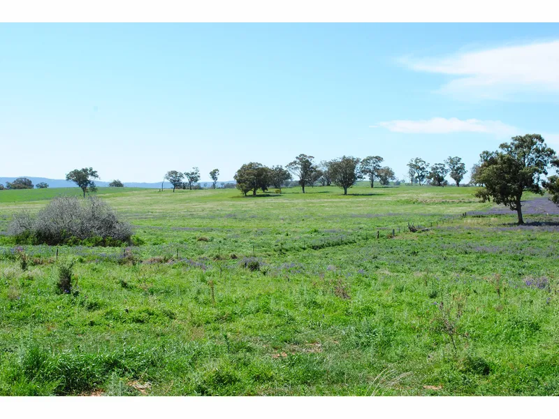 Prime Grazing Country