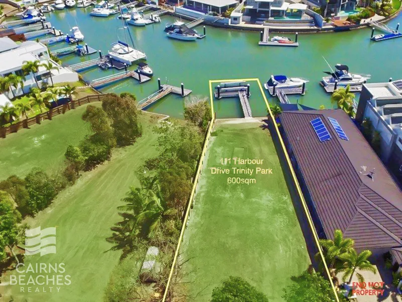 LET YOUR DREAM RUN WILD