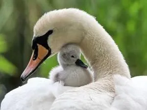 Don't judge the book by its cover!