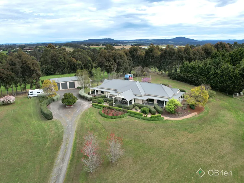 BALFOURS ROAD- WHEN ONLY THE BEST WILL DO