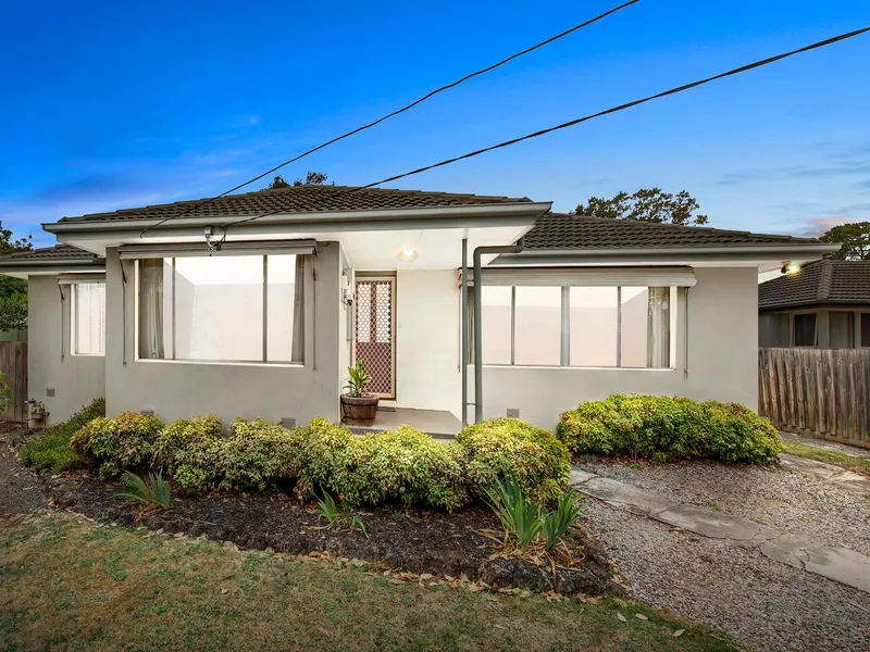 Picture Perfect Family Lifestyle