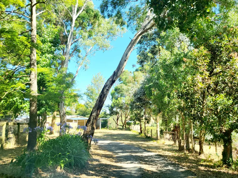 Home with Granny Flat, in rural setting yet close to city