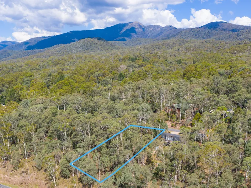 DREAMING OF A HOME AMONGST THE GUM TREES?