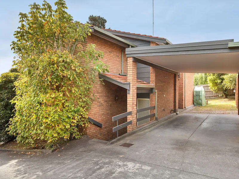 Exciting and Expansive in the College Zone