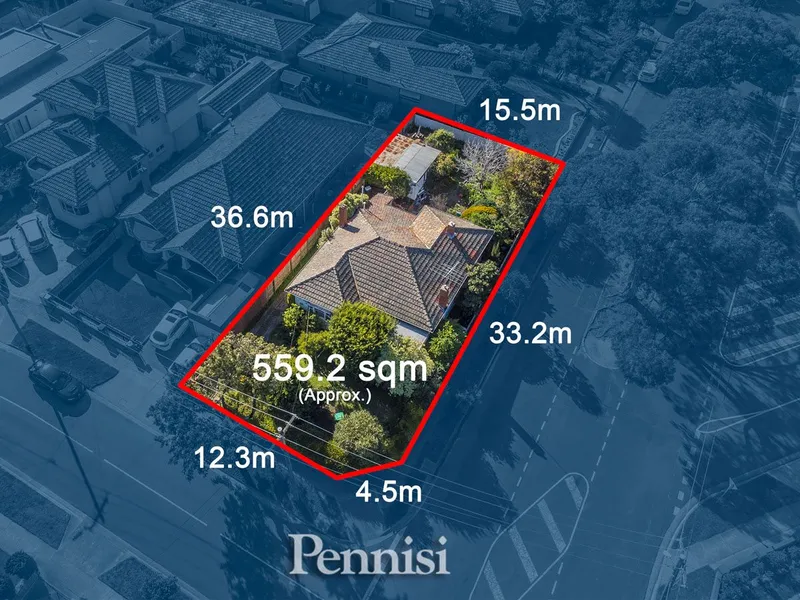 Private Negotiation by Pennisi