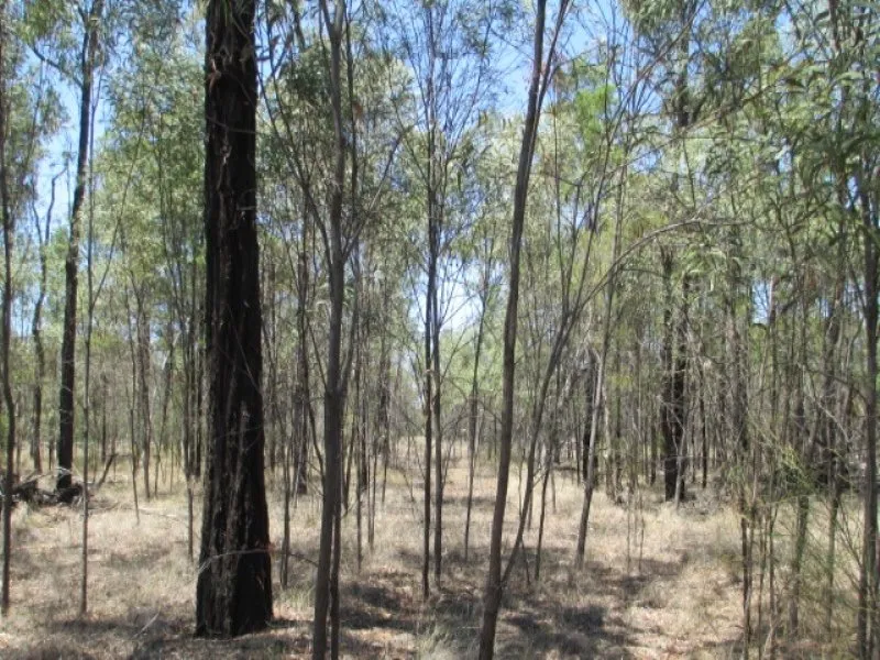 113.74 ACRES ONLY 8 KMS EAST OF TARA