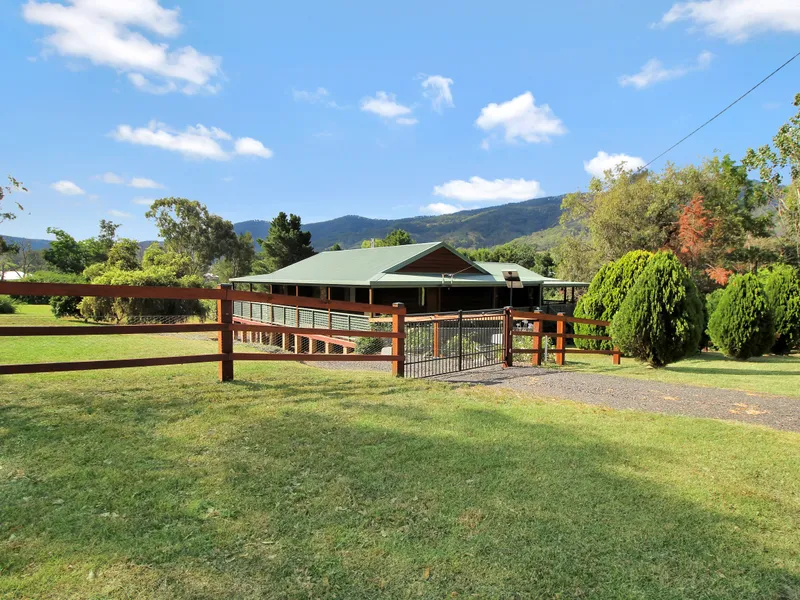 * A SURPRISE PACKAGE/LOOKING FOR A TREE CHANGE *