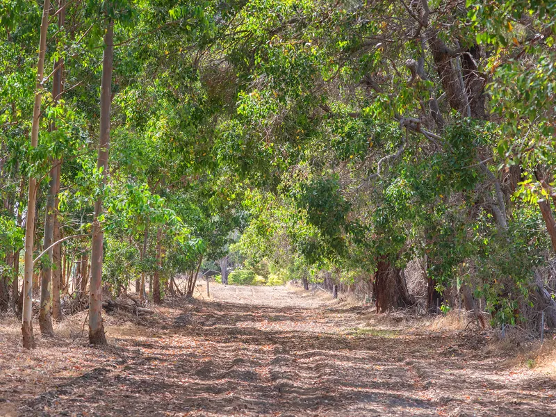 TRANQUIL QUINDALUP 54AC BLOCK