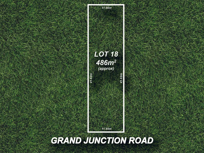 Your Dream Starts Here!