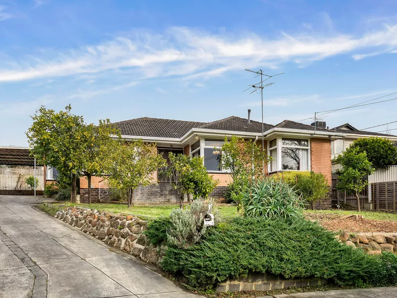 A chance to win it all in the EDSC catchment area