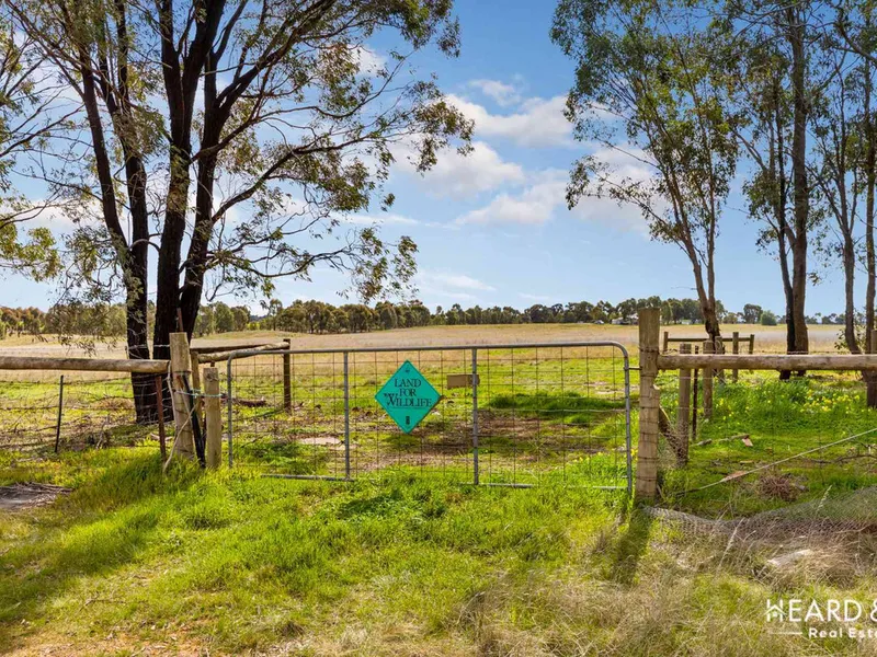 Neat Rural Land Allotment