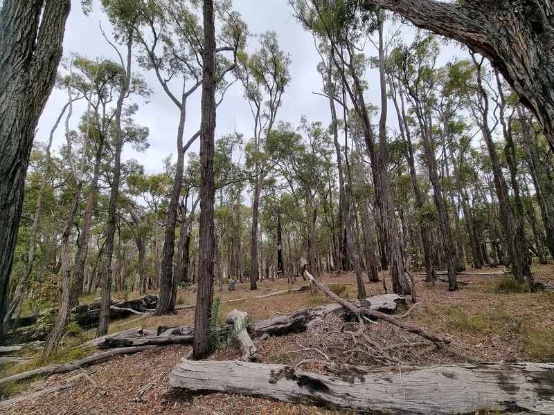 Here is your Country Getaway