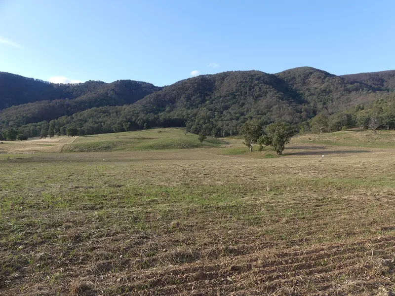 403 Acres With Creek Frontage