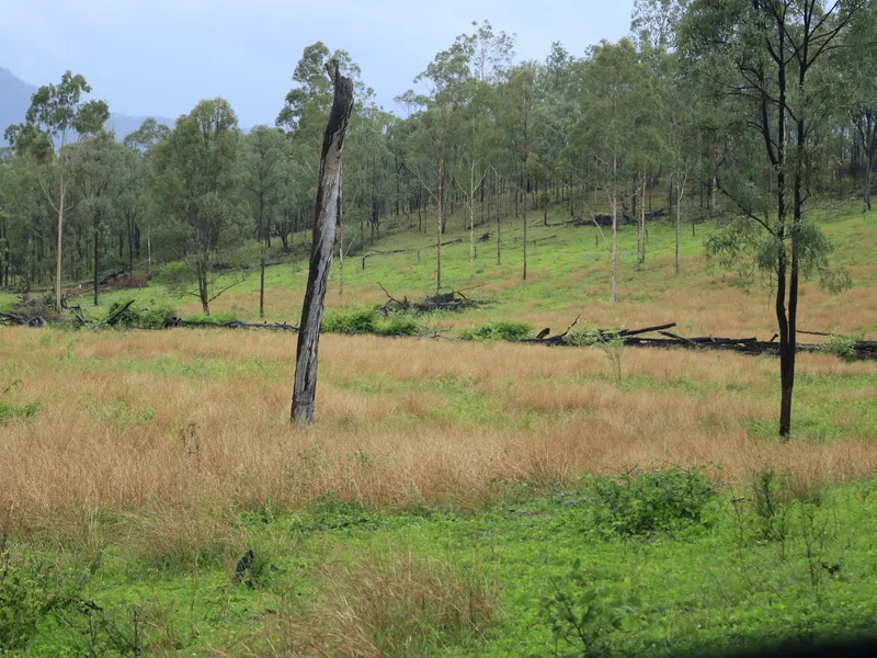 Perfect Starter Block for $350 000.00