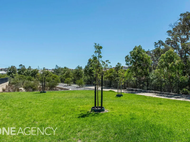 Tranquil Parkland Outlook