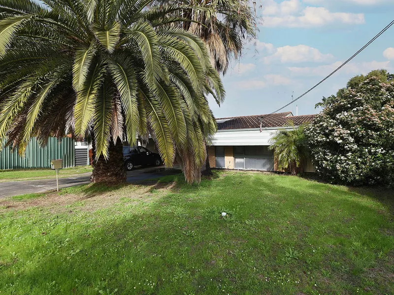 SHES A LITTLE RIPPER!