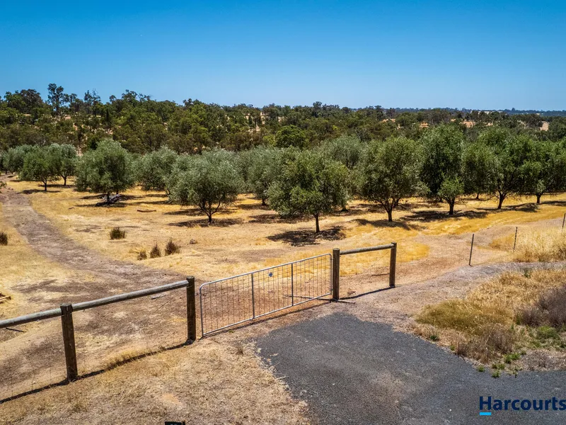 FANTASTIC LIFESTYLE BLOCK!!