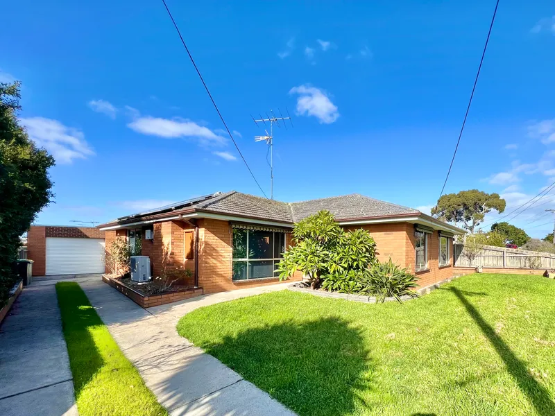 Immaculate and Ready To Go