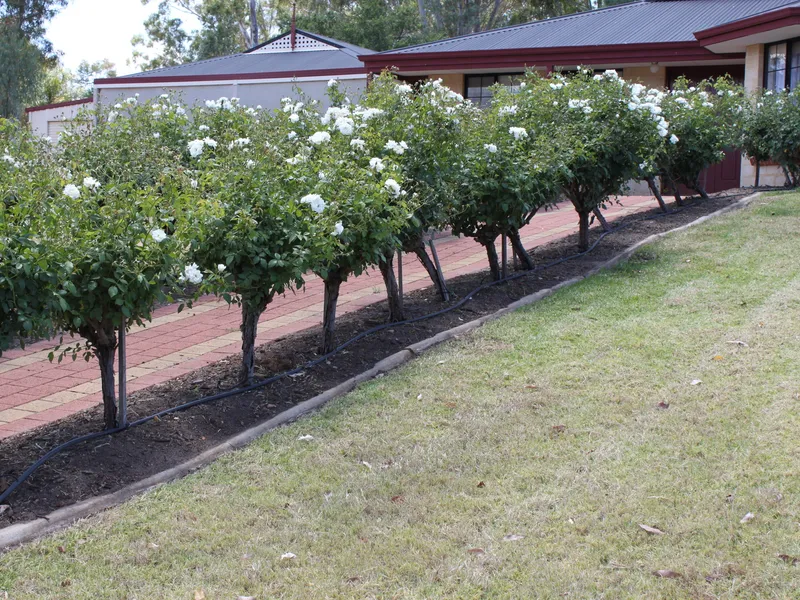 SPACIOUS TOWN SITE HOME