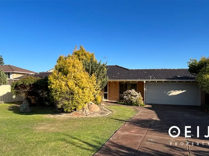 NEW CARPETS, NEW PAINT