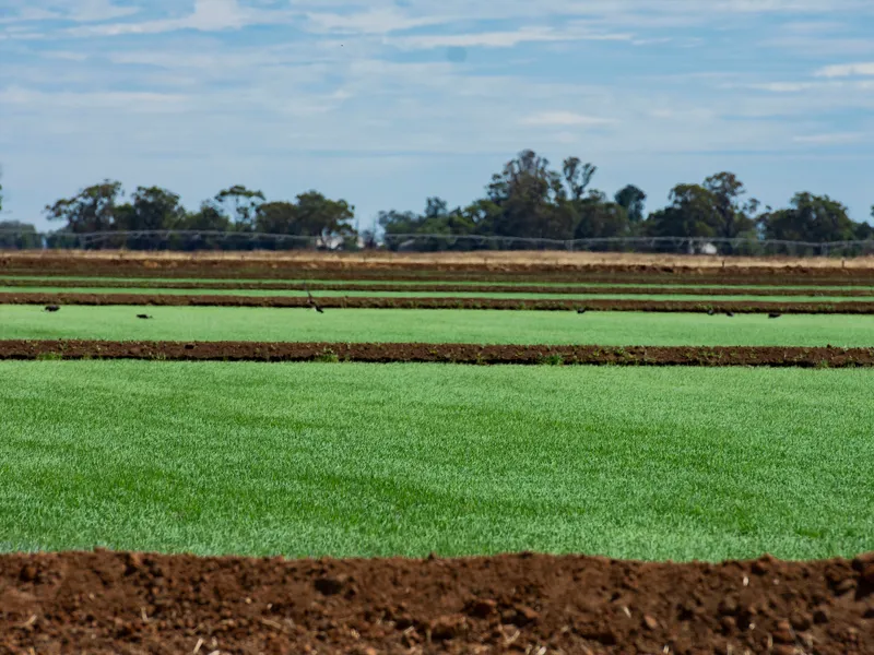 Brolga Farm - Recently developed and ready for the 2021 Winter Crop.