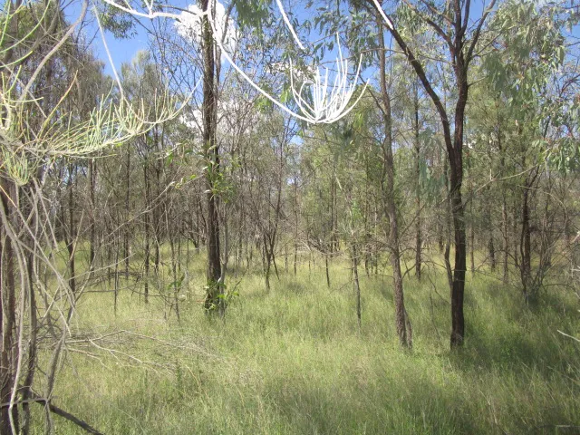29.65 ACRES IN BUNGYBAH ROAD WERANGA